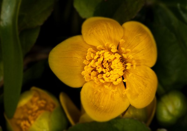 Frühling