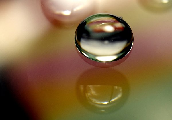 Lamona Wasser